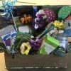 Custom Gift Basket - Any Occassion - Image 33